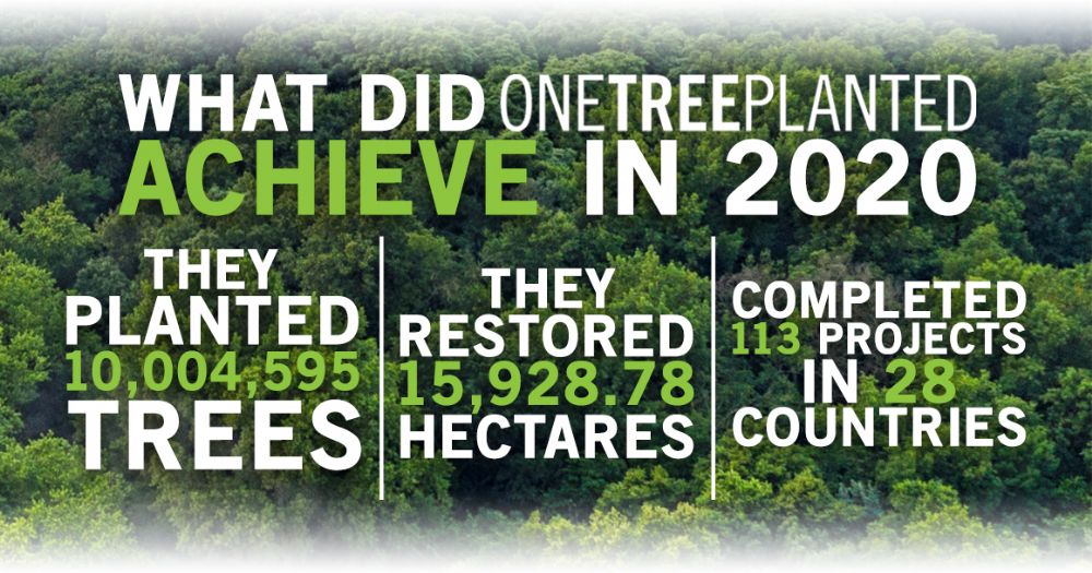 What Did One Tree Planted Achieve In 2020. They Planted 10,004,595 Trees; They Restored 15,928.78 Hectares; Completed 113 Projects In 28 Countries